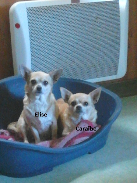 Elise (Sans Affixe)